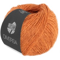 DIVERSA-Orange-21