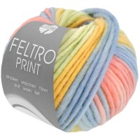 FELTRO PRINT-Pastellgrün/Gelb/Hellblau/Lachsrosa-1303