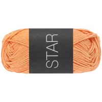 STAR-Lachs-99
